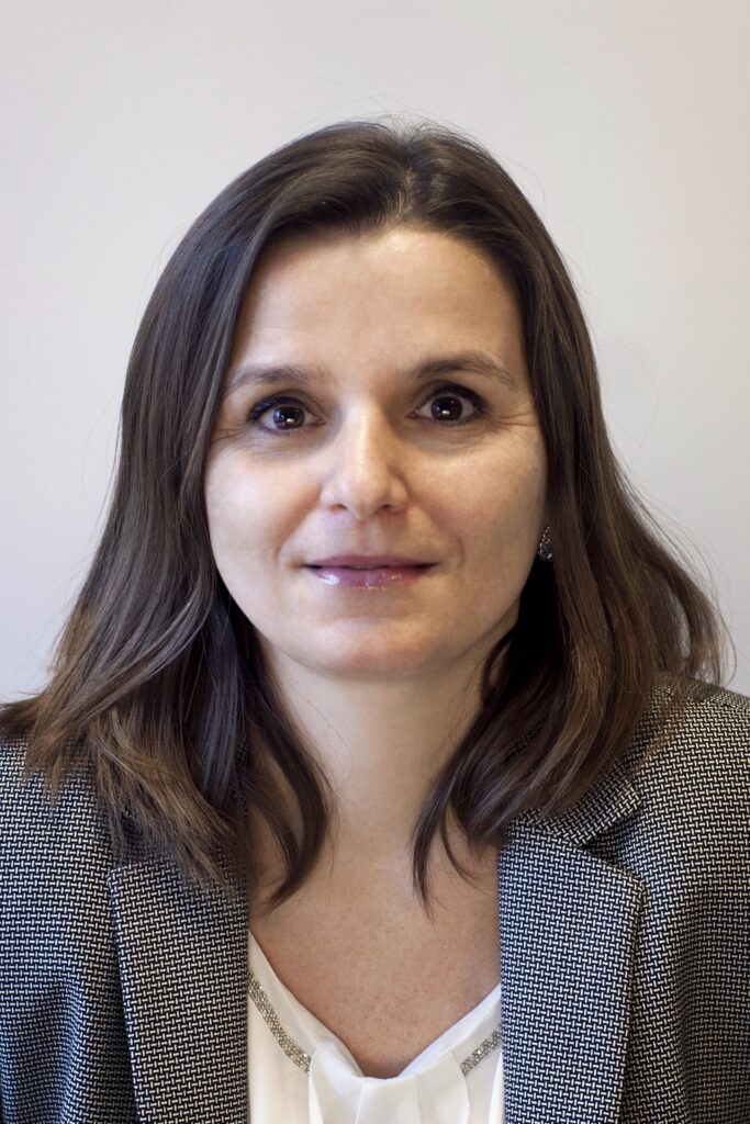 dr hab. inż. Iwona Sulima